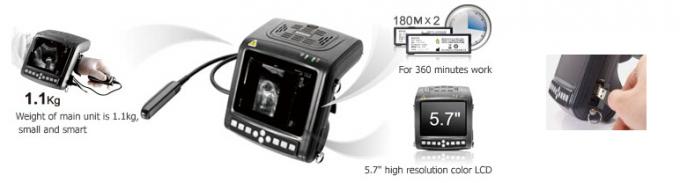 KX5200 wrist B mode ultrasonic diagnostic instruments