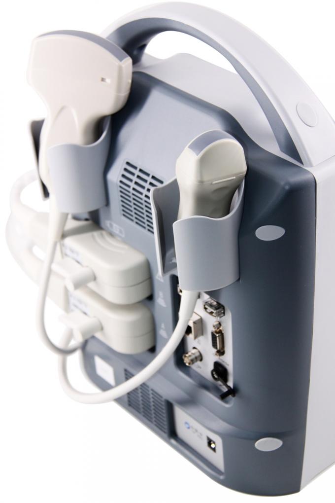 KX5600V veterinary B mode ultrasound scanner