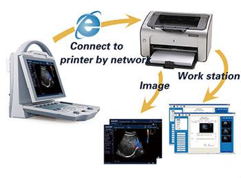 DCU12 ultrasound scanner for vet