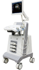 DCU2 Trolley full digital color doppler ultrasound scanner