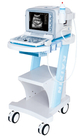 KX2000G portable full digital B mode human ultrasound scanner