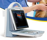DCU12 portable color doppler vet use ultrasound scanner