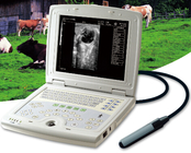 KX5000V  full digital B mode  veterinary ultrasound scanner