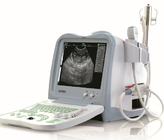 KX2600V portable full digital B mode veterinary ultrasound scanner