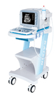 KX2000V portable full digital B mode veterinary ultrasound scanner