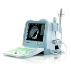 KX2600V portable  veterinary ultrasound scanner