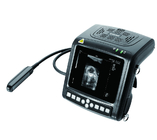 KX5200 Veterinary B Mode Ultrasound scanner