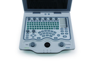 DCU12 Veterinary Color Doppler Ultrasound Scanner(Updated version)