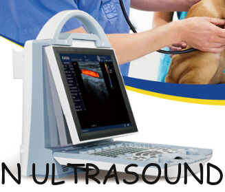 Veterinary portable color doppler  ultrasound scanner