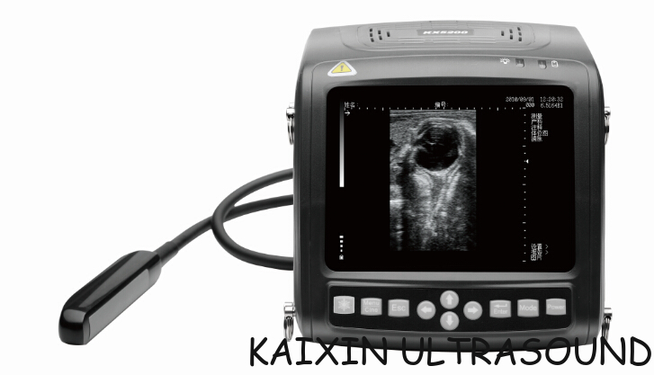 KX5200 wrist portable full- digital B mode veterinary ultrasound scanner
