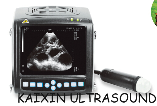 wrist mechanical sector vet use ultrasound scanner