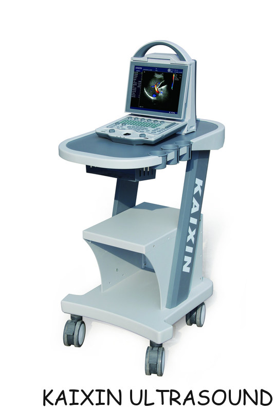 DCU12 Veterinary Color Doppler Ultrasound Scanner(Updated version)