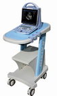 DCU12 portable full digital color doppler ultrasound scanner