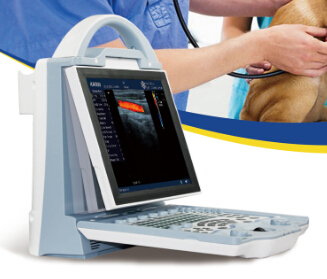 DCU12 full digital color doppler vet diagnostic ultrasound scanner