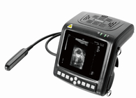 KX5200 full- digital B mode veterinary ultrasound scanner