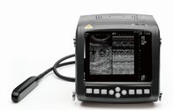 wrist vet use ultrasound scanner
