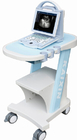 KX5600V portable veterinary ultrasound scanner