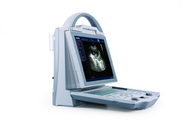 KX5600V veterinary B mode ultrasound scanner