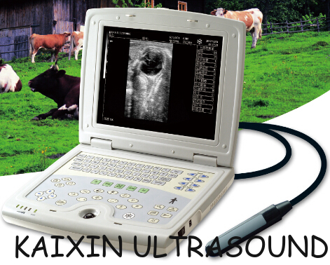 KX5000V laptop B mode veterinary ultrasound scanner